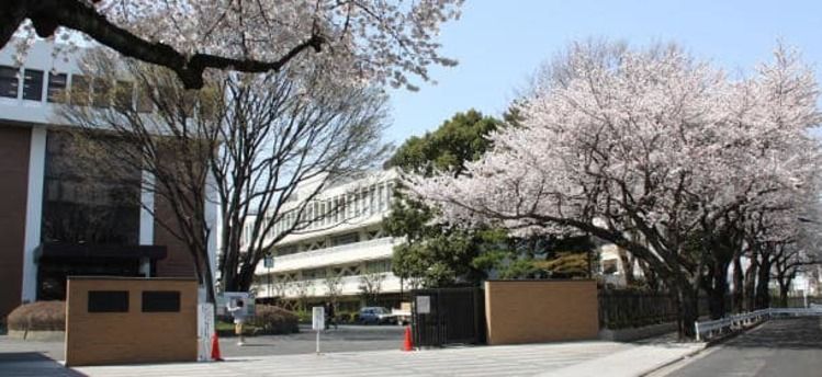 最も選択された 東京家政大学男子