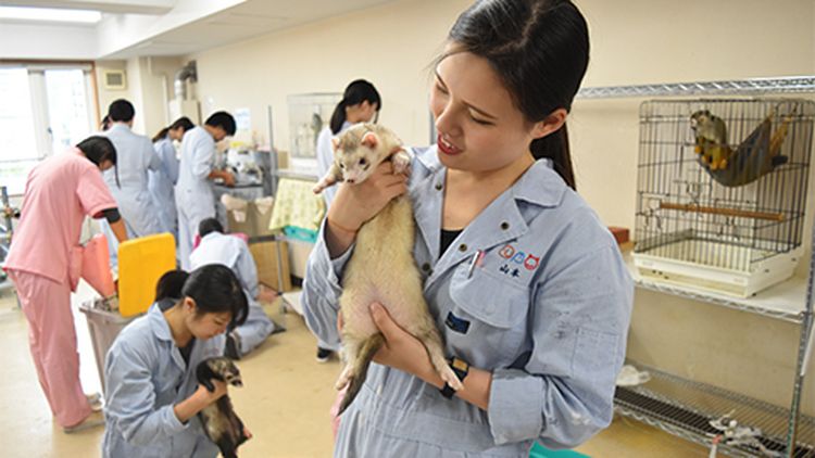 オープンキャンパス 動物飼育コース 動物園の飼育員からトレーナーまで幅広く 大阪動植物海洋専門学校のオープンキャンパス情報 みんなの専門学校情報