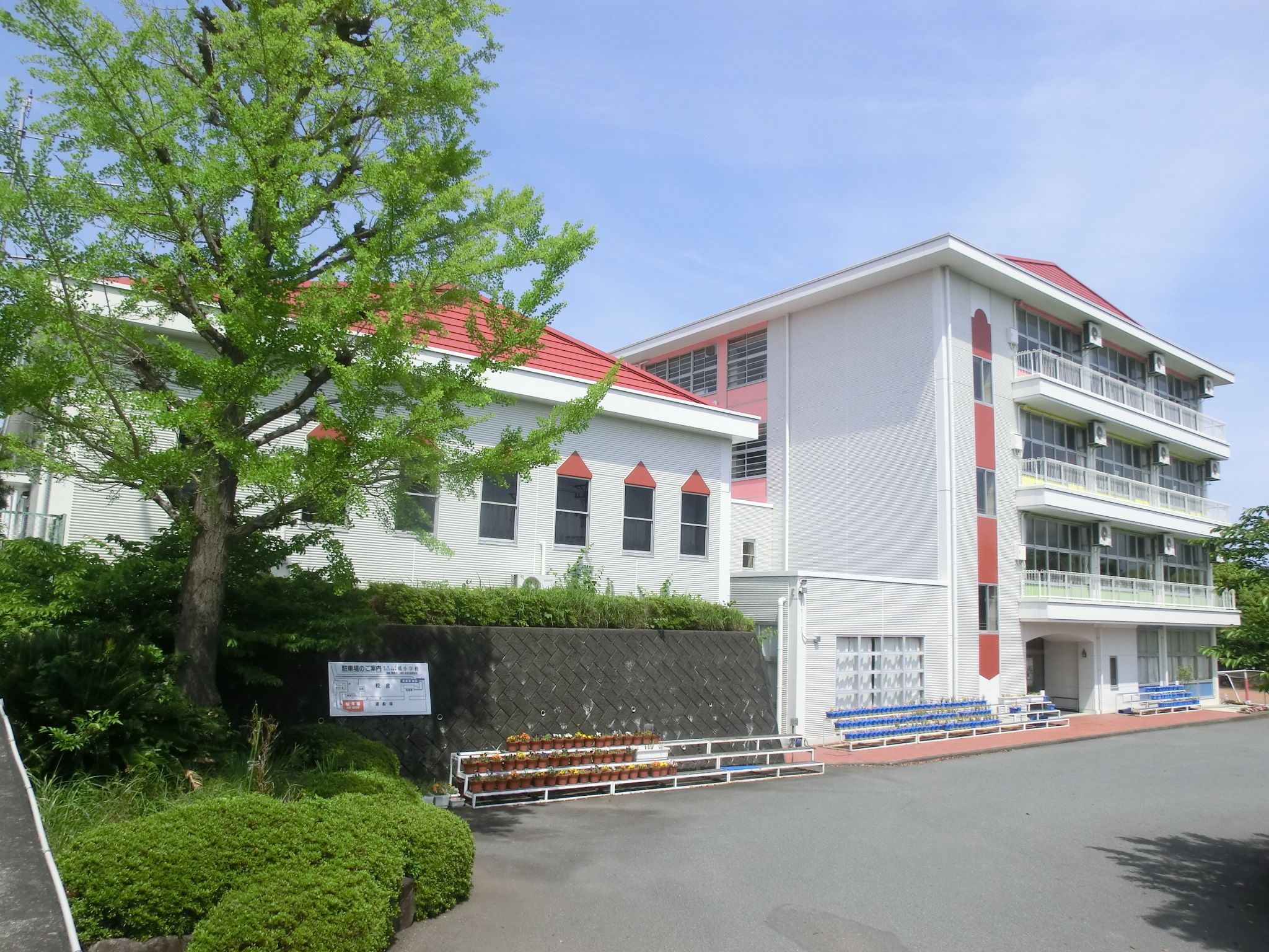 常葉大学教育学部附属橘小学校 静岡県静岡市葵区 の情報 口コミなど みんなの小学校情報