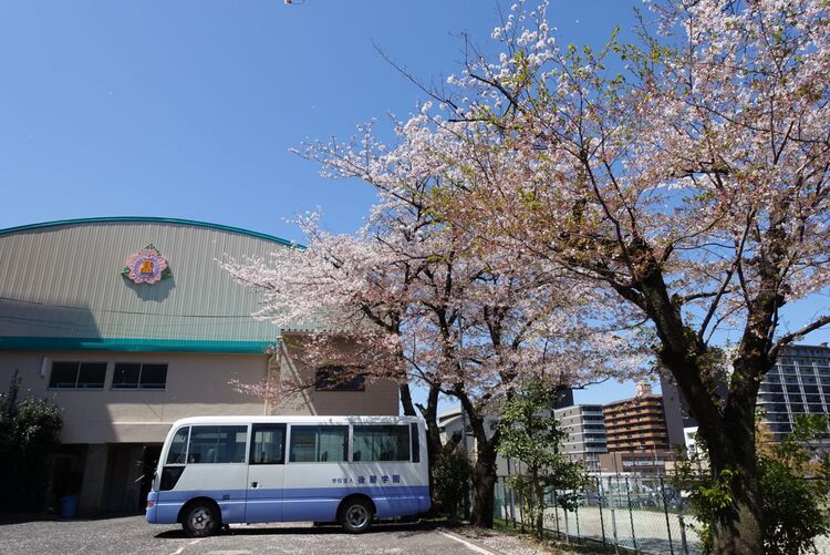 楊志館高校（大分県）の情報（偏差値・口コミなど） | みんなの高校情報