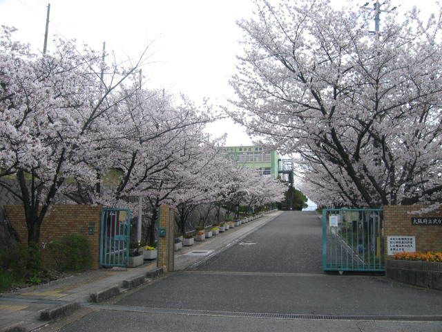 北かわち皐が丘高校（大阪府）の情報（偏差値・口コミなど） | みんなの高校情報