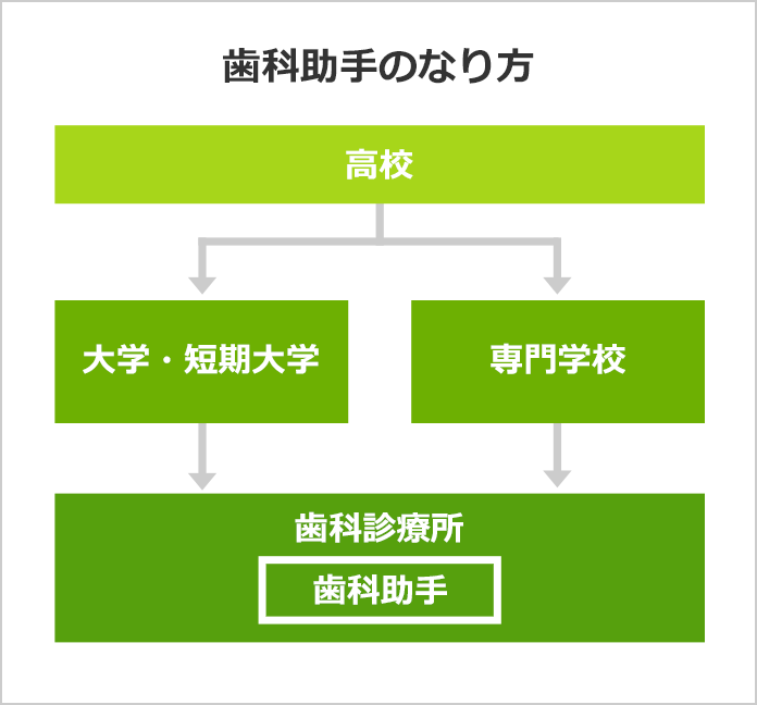 歯科助手になるには 歯科助手の口コミも掲載 みんなの専門学校情報